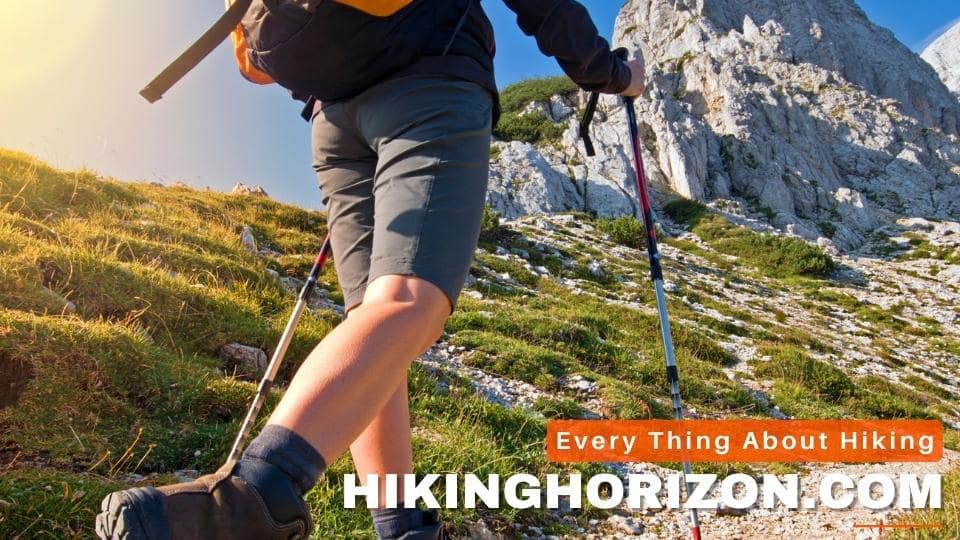 Can Hiking Help You Lose Belly Fat