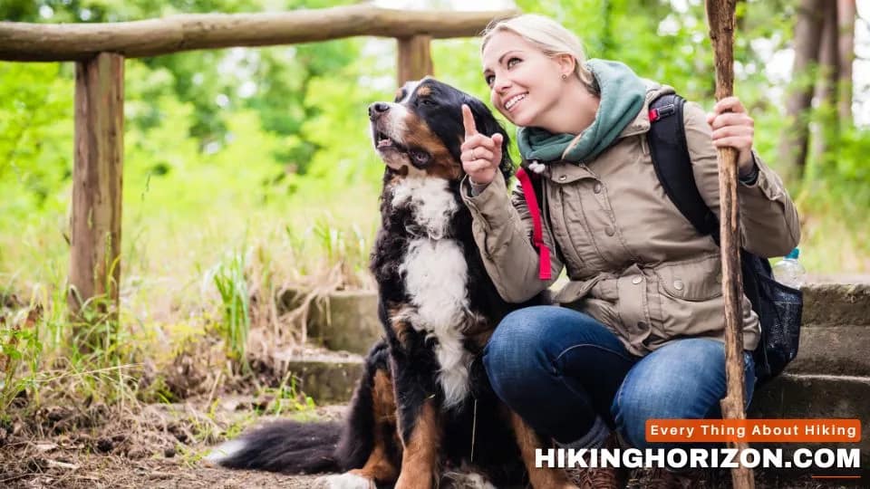 Top 20 Best Dog Breeds for Hiking and Outdoor Adventures