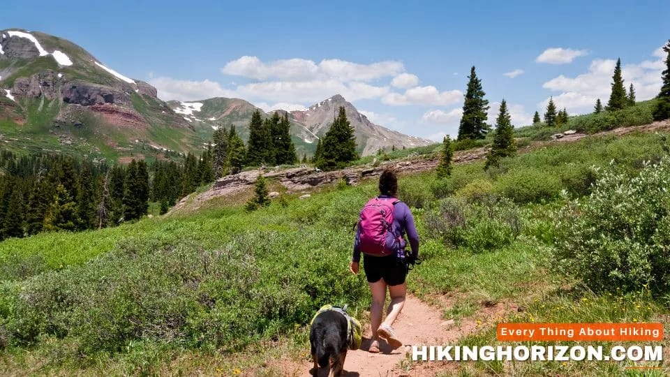Choosing The Right dog friendly Trails in Colorado