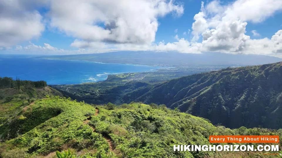 Waihe'e Ridge Trail Maui